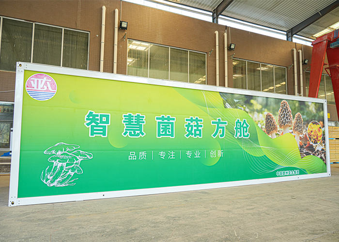 德州市農(nóng)業(yè)科學(xué)研究院與亞太集團(tuán)合作培育的菌菇首產(chǎn)成功